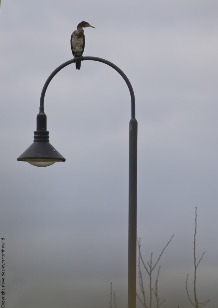 _Y1A8891m1.jpg