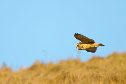 IMG_4840m1.jpg