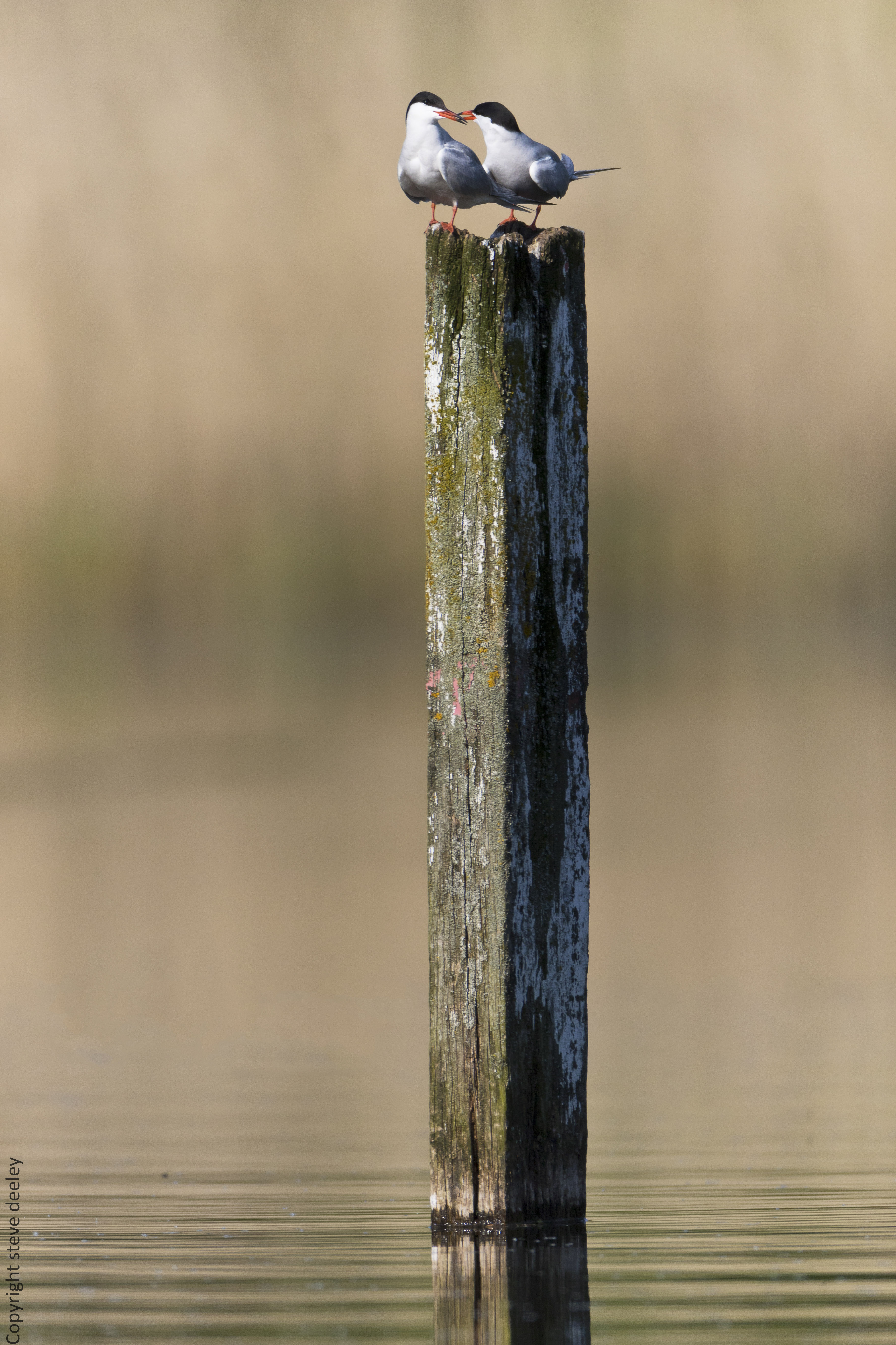 _Y1A7515m1.jpg