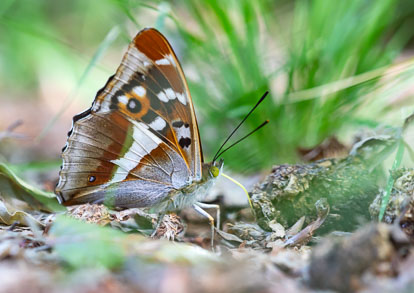 _MG_7553m1.jpg