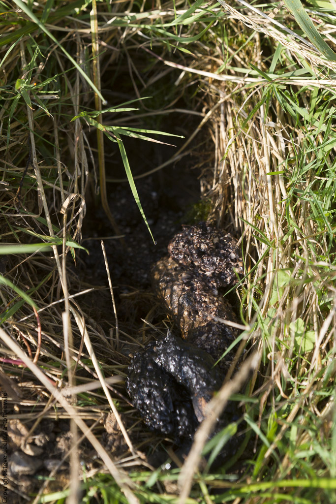 IMG_7069.jpg