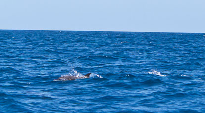 IMG_3079m1.jpg