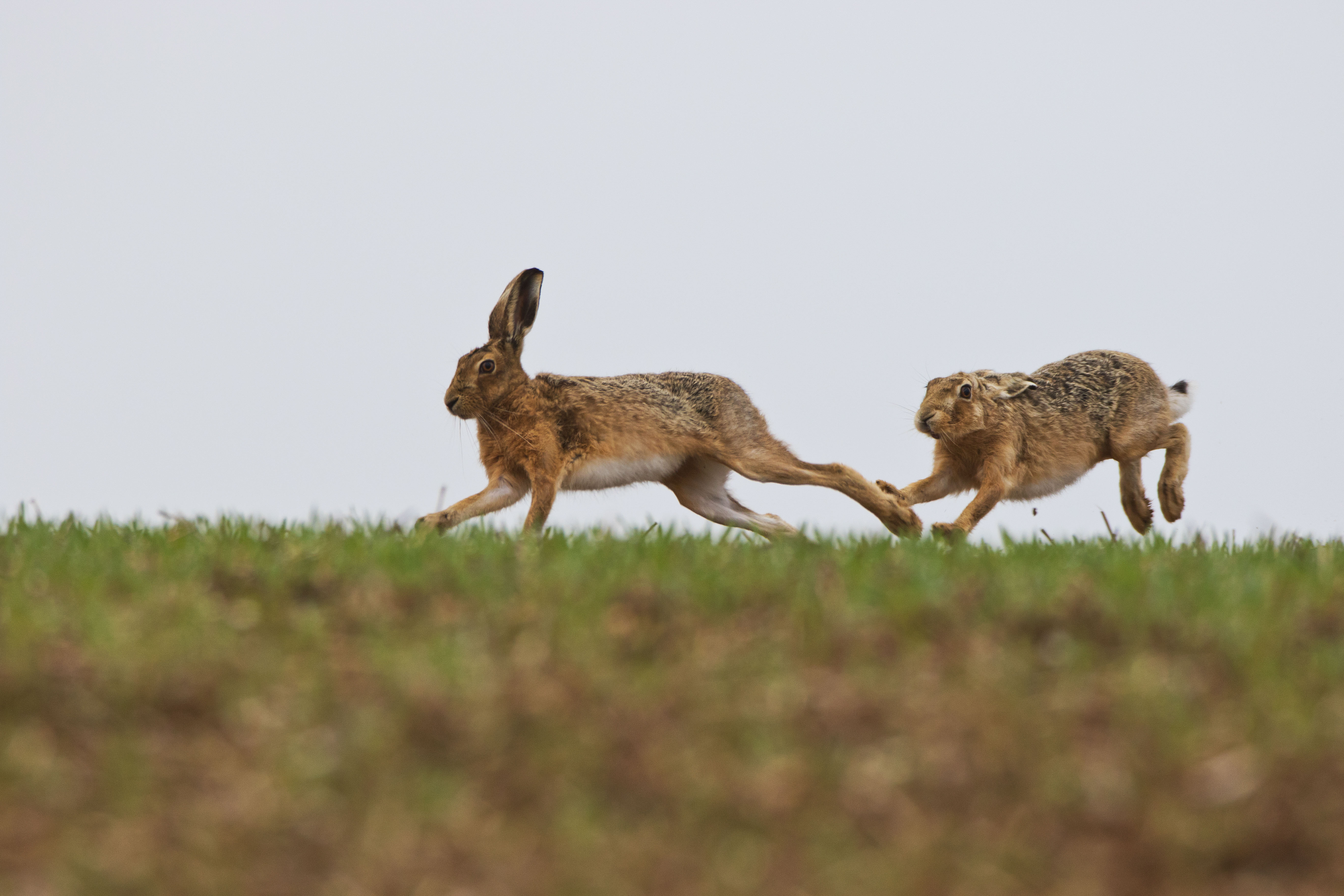 EW7A1209m1.jpg EW7A1209m1.jpg