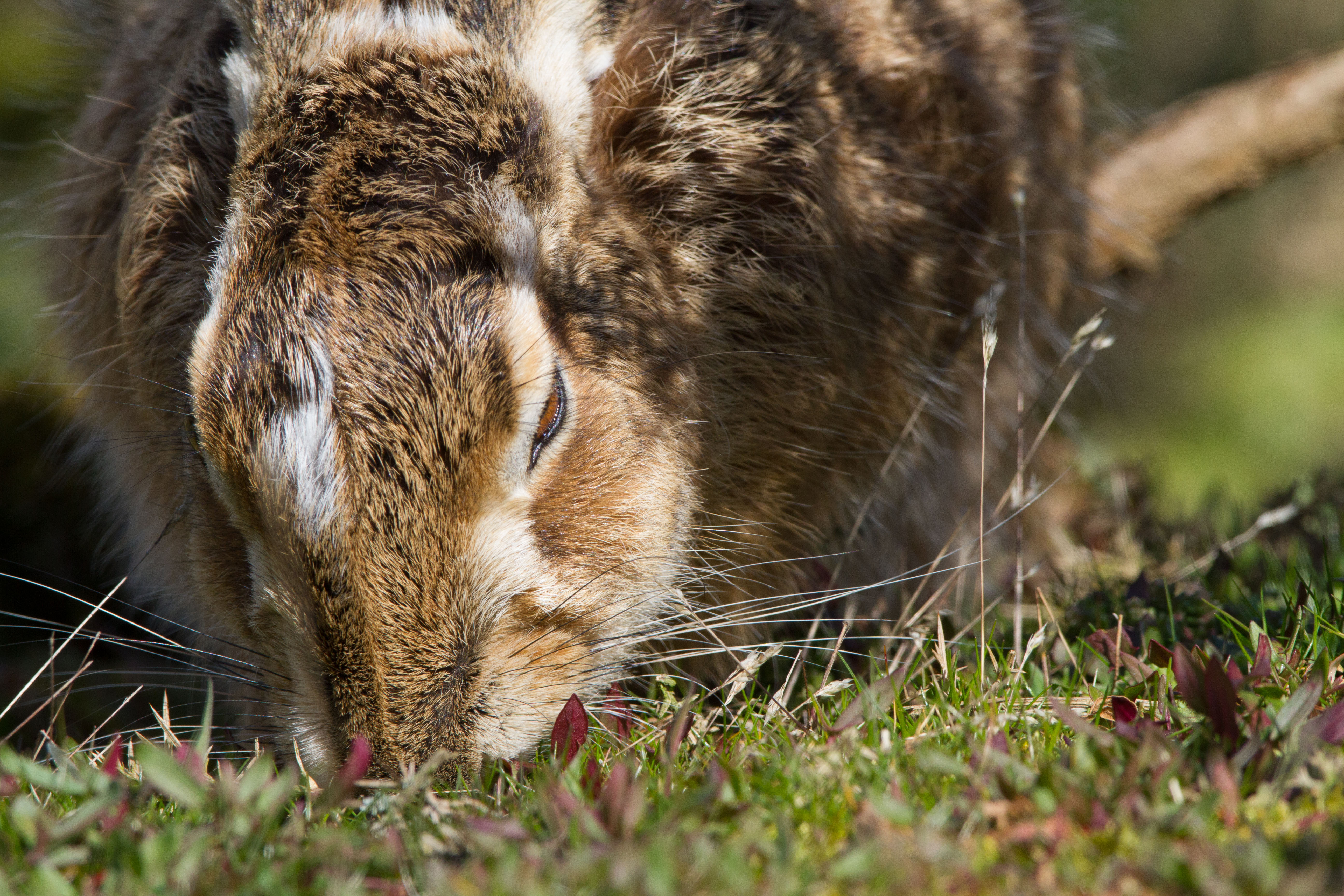 IMG_8659.jpg IMG_8659.jpg