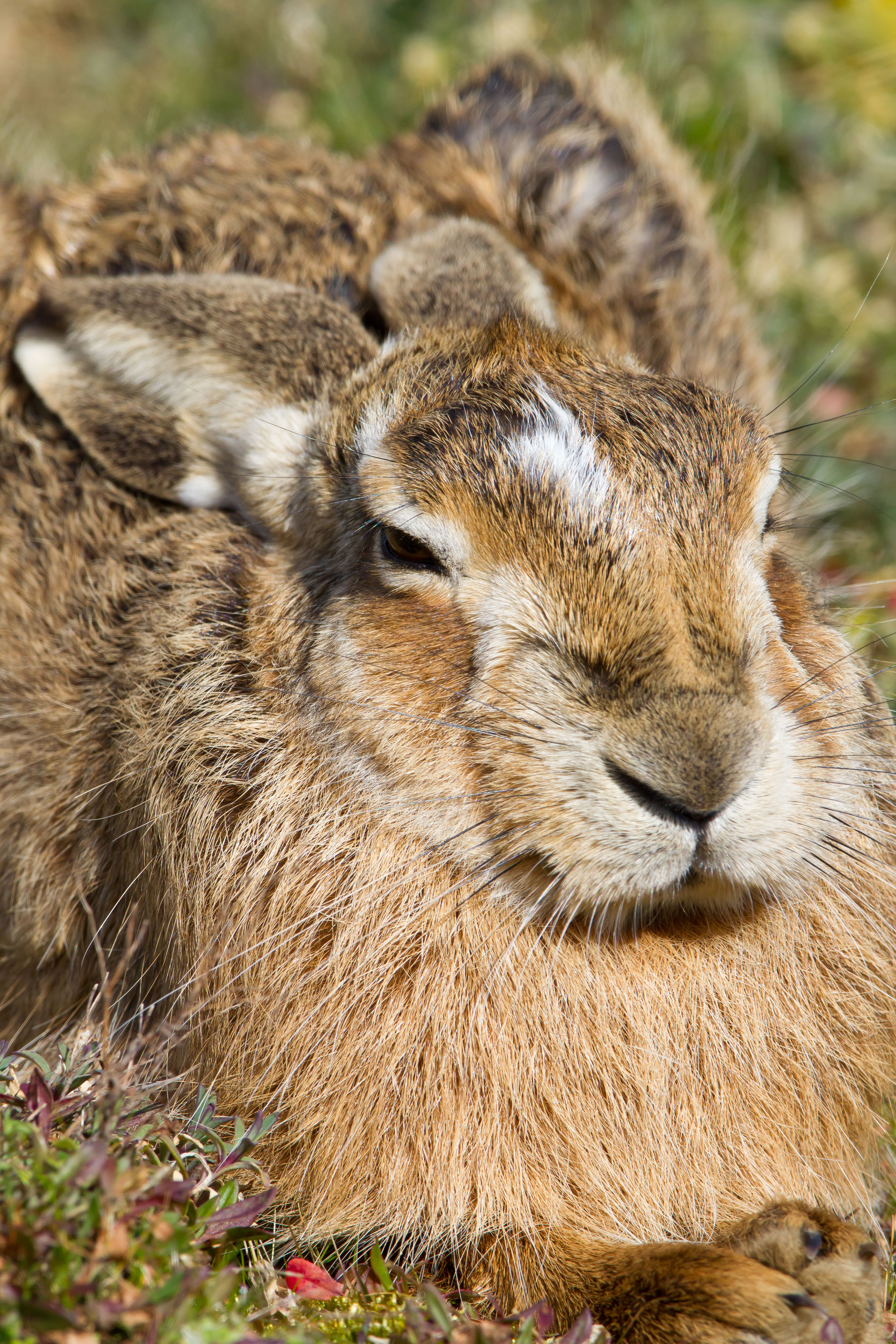 IMG_8758m1.jpg IMG_8758m1.jpg