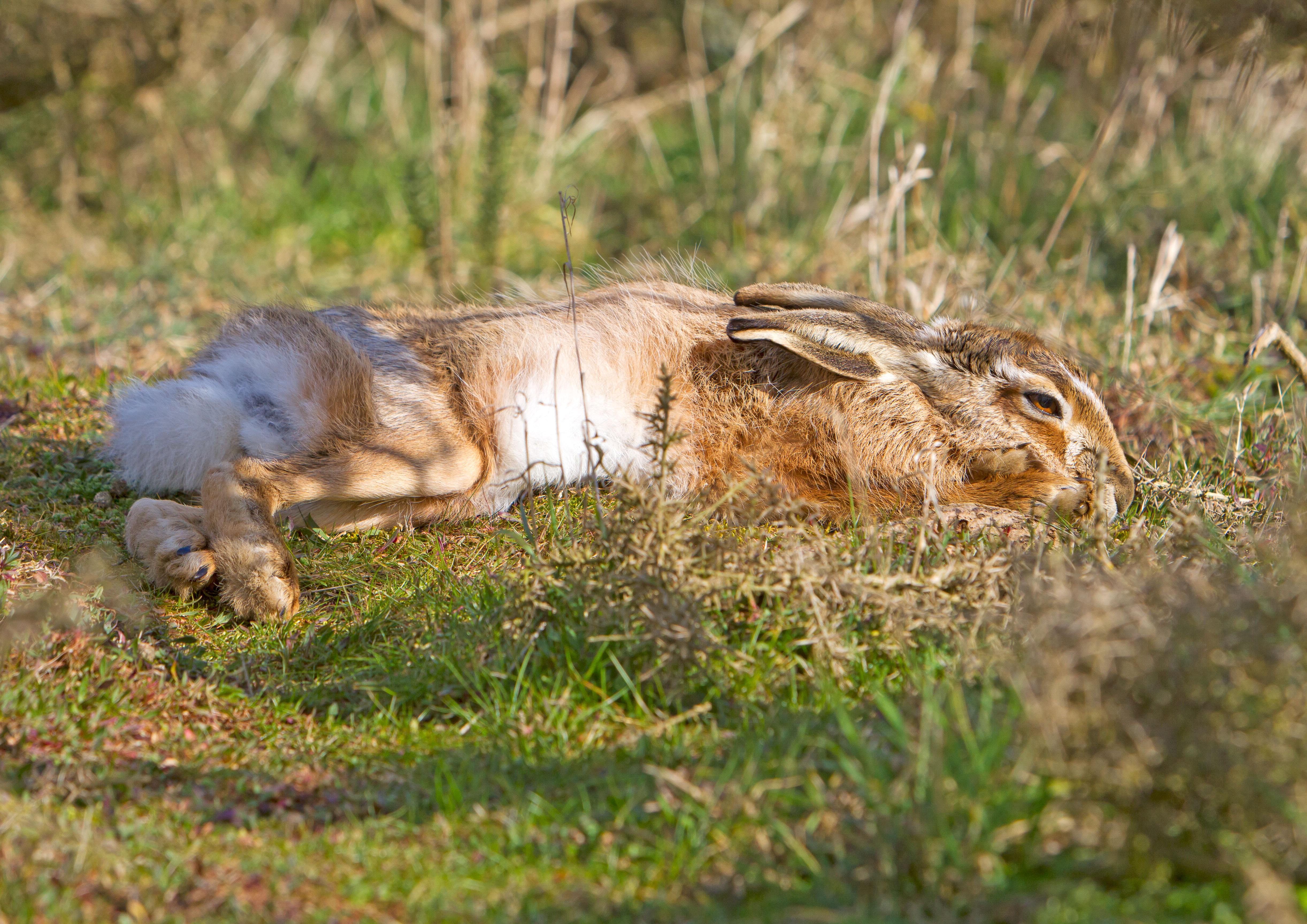 IMG_9004AL.jpg IMG_9004AL.jpg