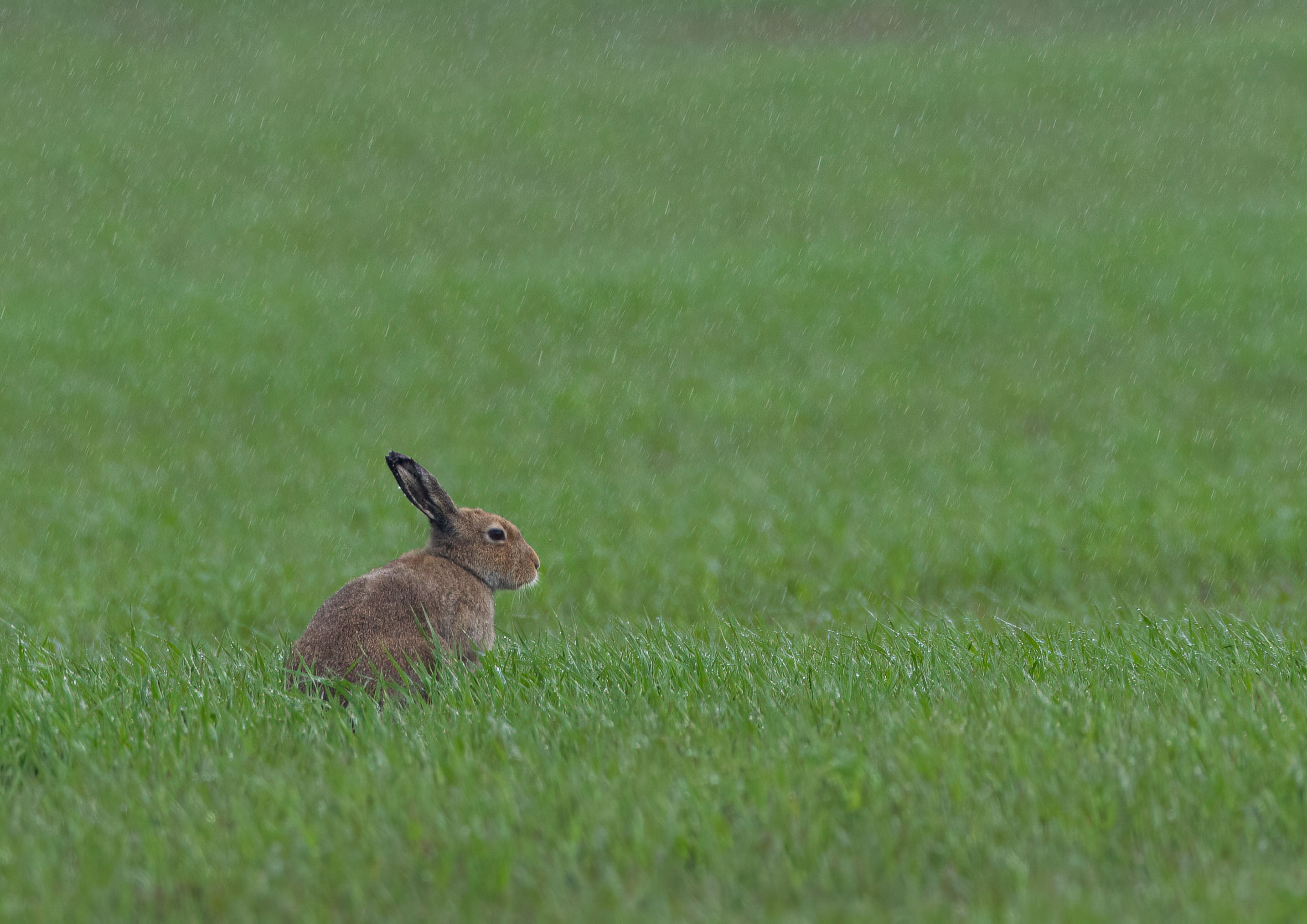 _AM20324m1.jpg _AM20324m1.jpg