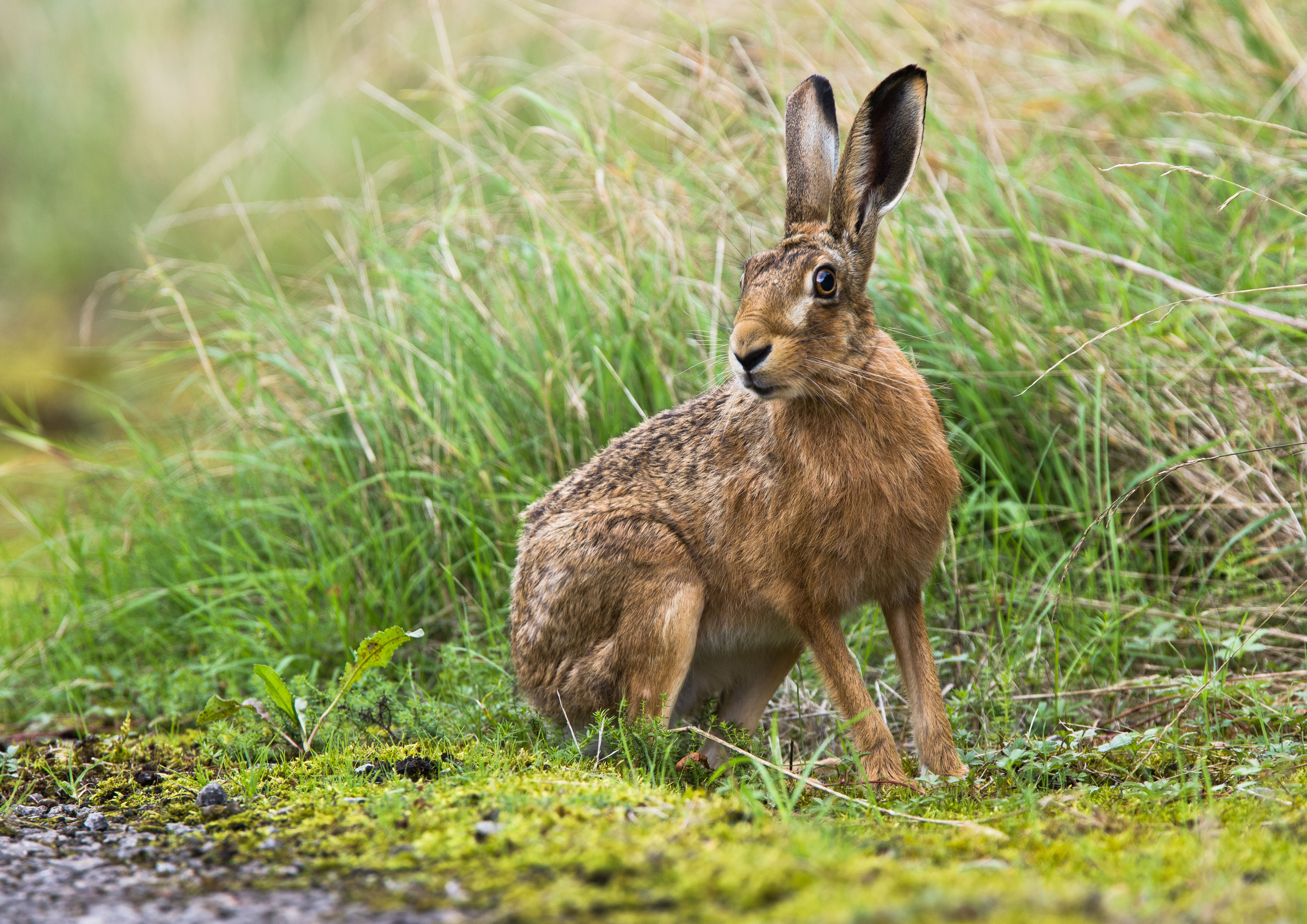 _W7A8573m1.jpg _W7A8573m1.jpg