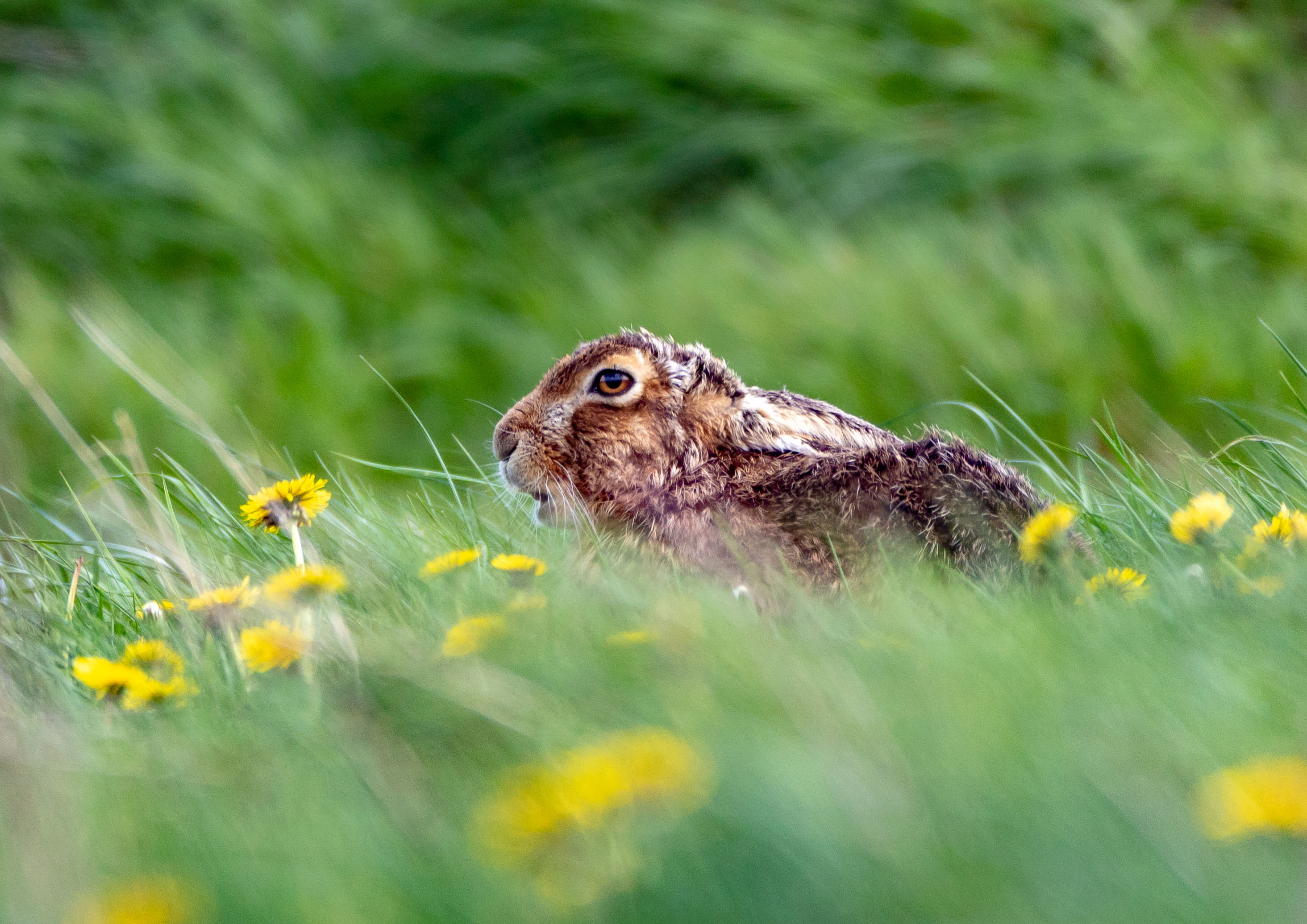 _Y1A5005m1.jpg _Y1A5005m1.jpg