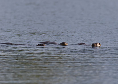 _AM23513m1.jpg _AM23513m1.jpg