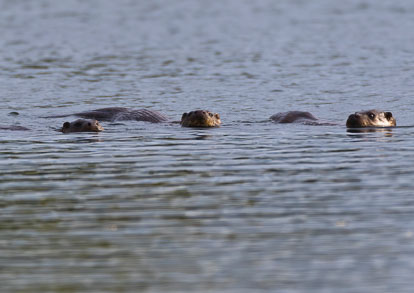 _AM23513m2.jpg _AM23513m2.jpg