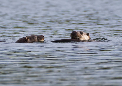 _AM23537m2.jpg _AM23537m2.jpg