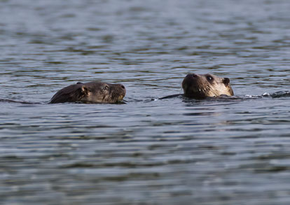 _AM23538m1.jpg _AM23538m1.jpg