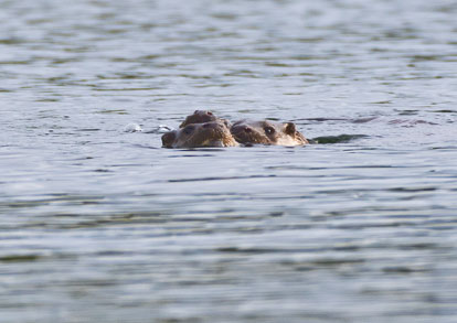 _AM23548m1.jpg _AM23548m1.jpg