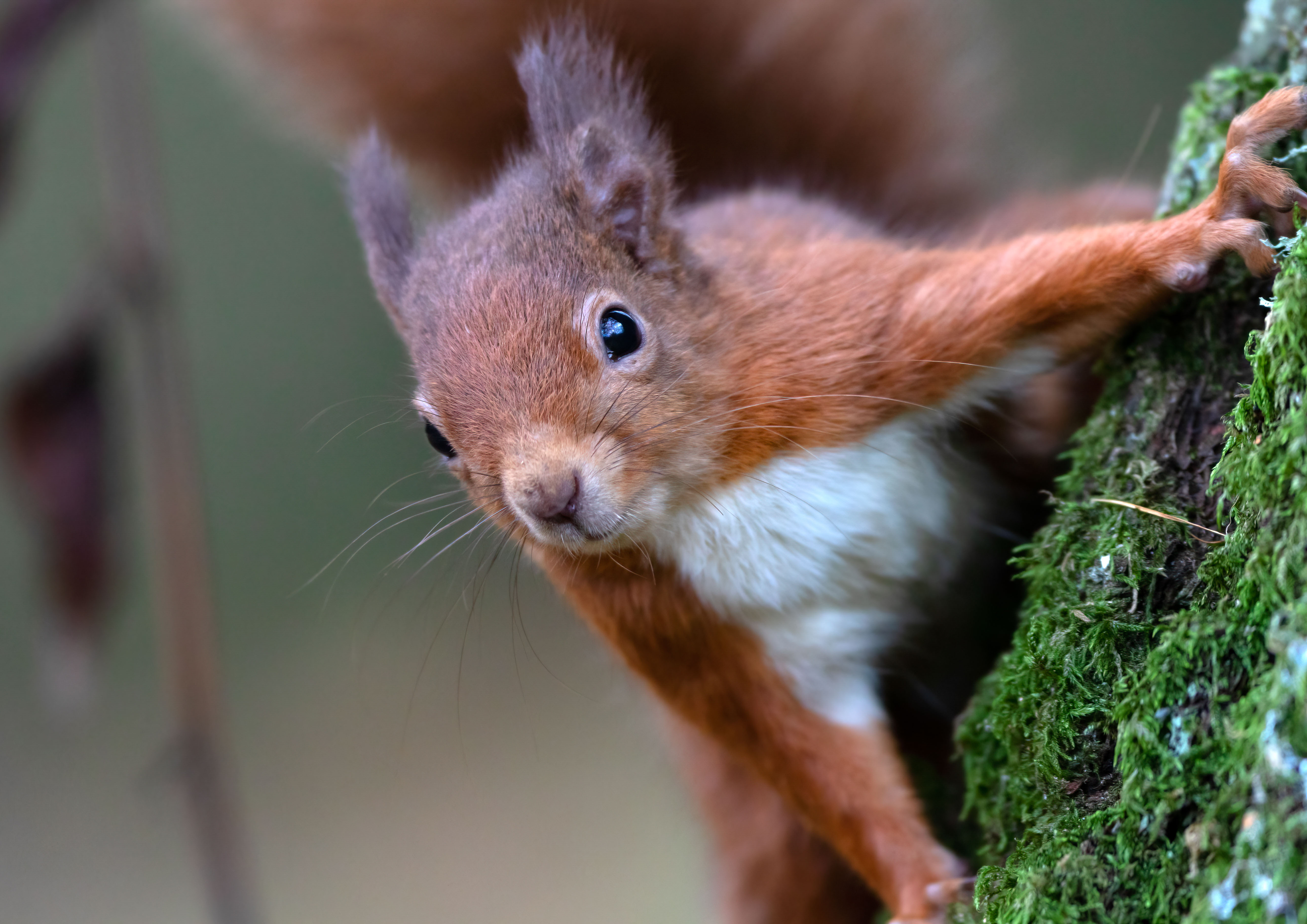 _AM26344m1.jpg _AM26344m1.jpg