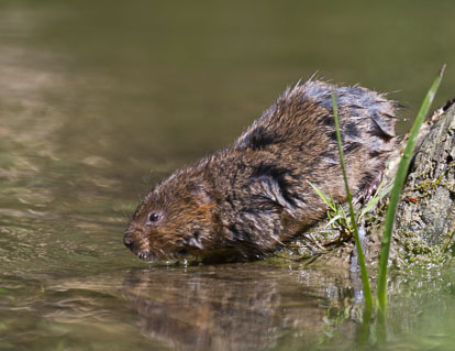 IMG_1080m1.jpg IMG_1080m1.jpg