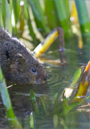 IMG_1104m1.jpg IMG_1104m1.jpg