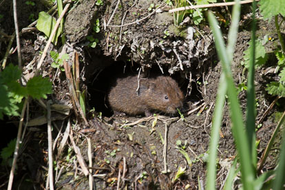 IMG_1888.jpg IMG_1888.jpg