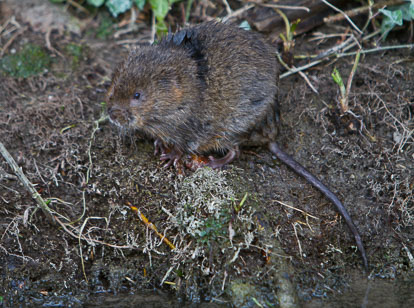 IMG_8048m1.jpg IMG_8048m1.jpg