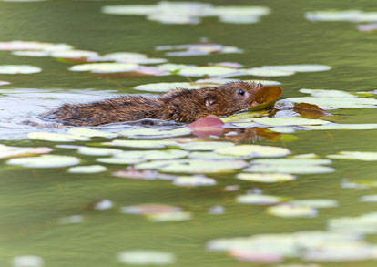 _Y1A4150m1.jpg _Y1A4150m1.jpg