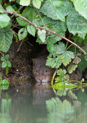 _Y1A4231m2.jpg _Y1A4231m2.jpg