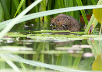 _Y1A4511m1.jpg _Y1A4511m1.jpg