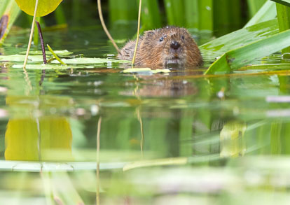 _Y1A4548m1.jpg _Y1A4548m1.jpg