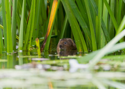 _Y1A4565m2.jpg _Y1A4565m2.jpg