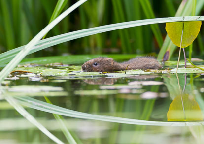 _Y1A4577m1.jpg _Y1A4577m1.jpg