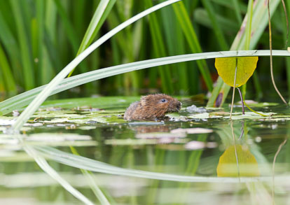 _Y1A4581m1.jpg _Y1A4581m1.jpg