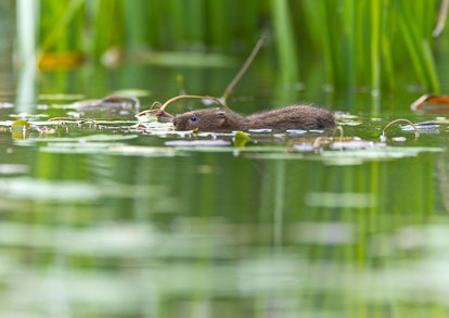 _Y1A4604m1.jpg _Y1A4604m1.jpg