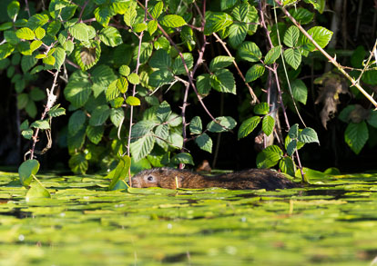 _Y1A4893m1.jpg _Y1A4893m1.jpg