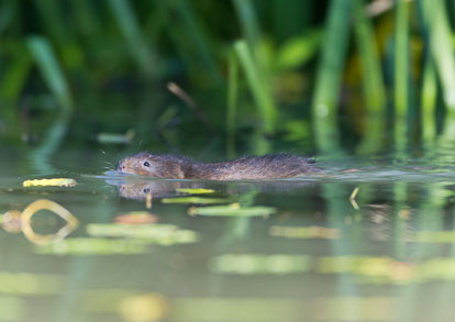 _Y1A4902m1.jpg _Y1A4902m1.jpg