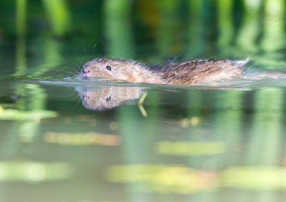 _Y1A4914m1.jpg _Y1A4914m1.jpg