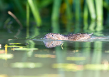 _Y1A4914m2.jpg _Y1A4914m2.jpg