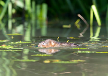 _Y1A4938m1.jpg _Y1A4938m1.jpg