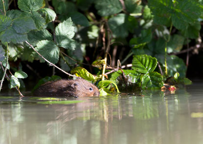 _Y1A4948m1.jpg _Y1A4948m1.jpg