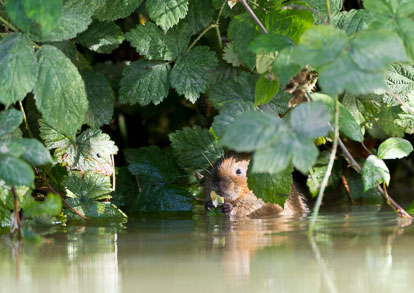 _Y1A4961m1.jpg _Y1A4961m1.jpg