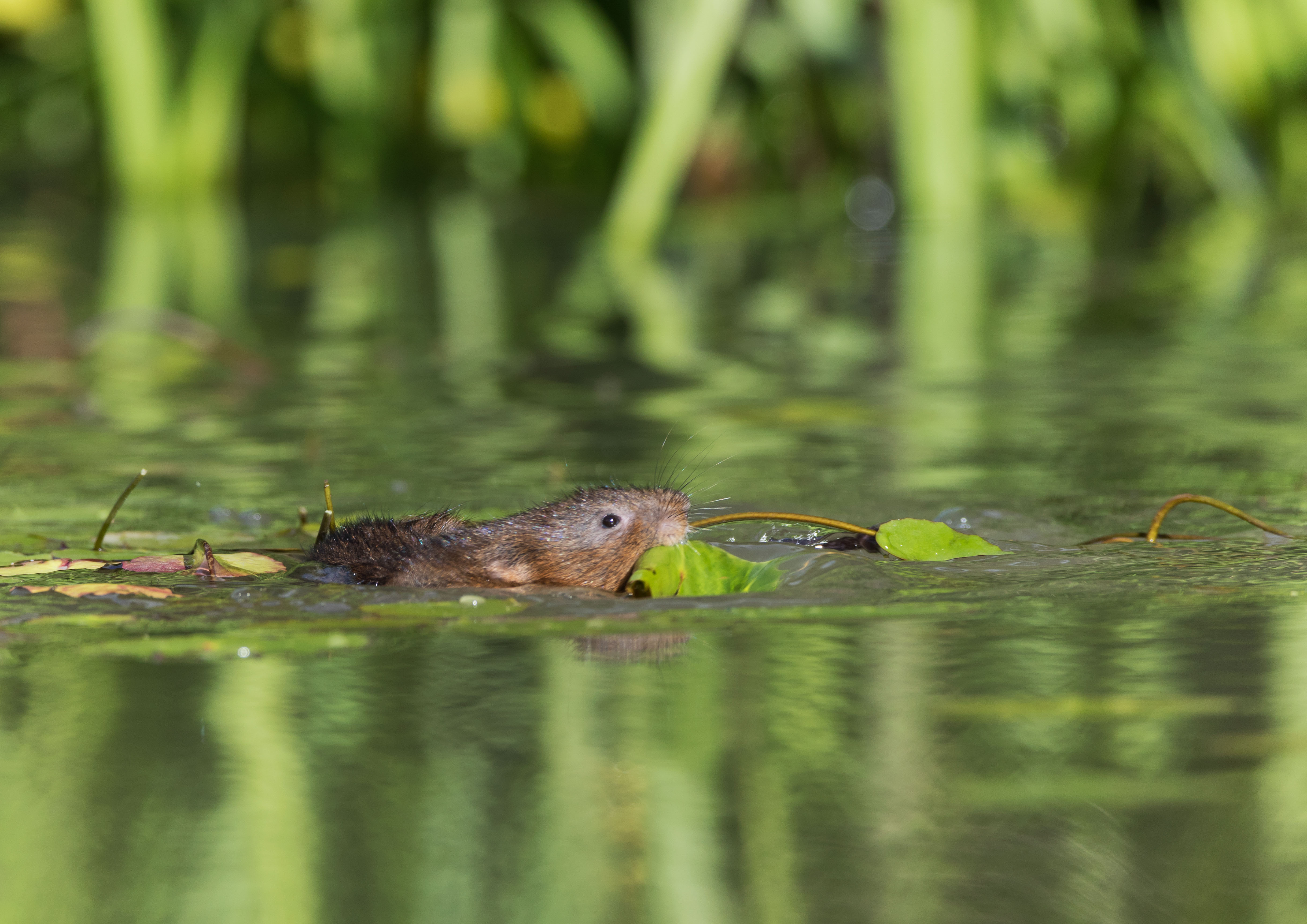 _Y1A5030m1.jpg _Y1A5030m1.jpg