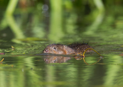 _Y1A5044m2.jpg _Y1A5044m2.jpg