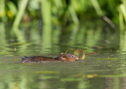 _Y1A5050m1.jpg _Y1A5050m1.jpg