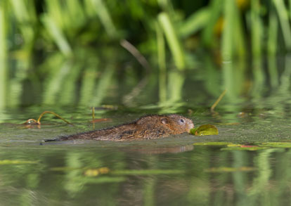 _Y1A5054m1.jpg _Y1A5054m1.jpg