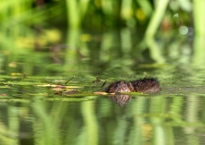 _Y1A5062m1.jpg _Y1A5062m1.jpg