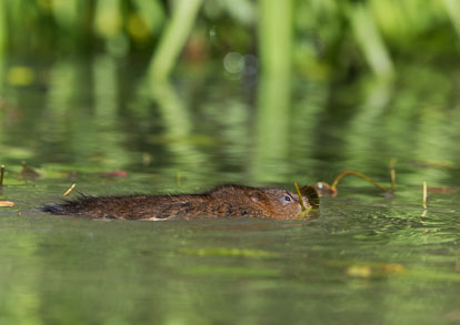 _Y1A5072m1.jpg _Y1A5072m1.jpg