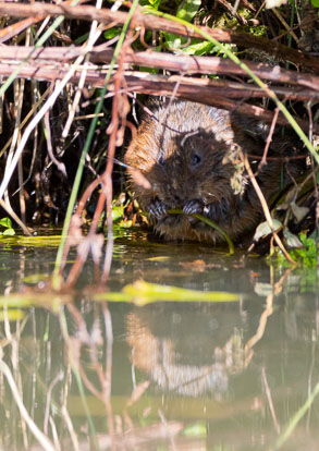 _Y1A5160m1.jpg _Y1A5160m1.jpg