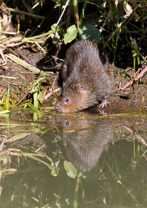 _Y1A5165m1.jpg _Y1A5165m1.jpg