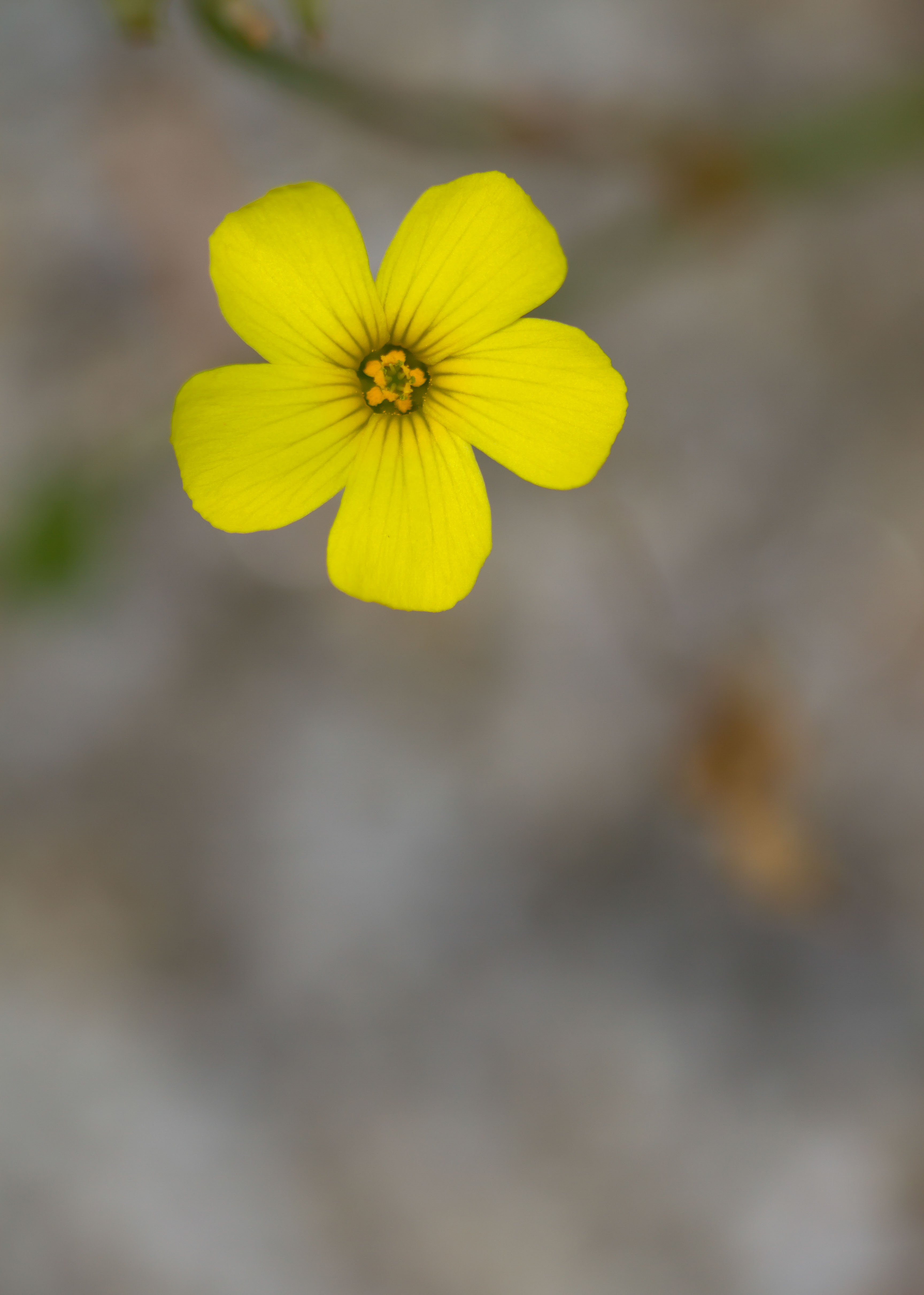 IMG_3300m1.jpg