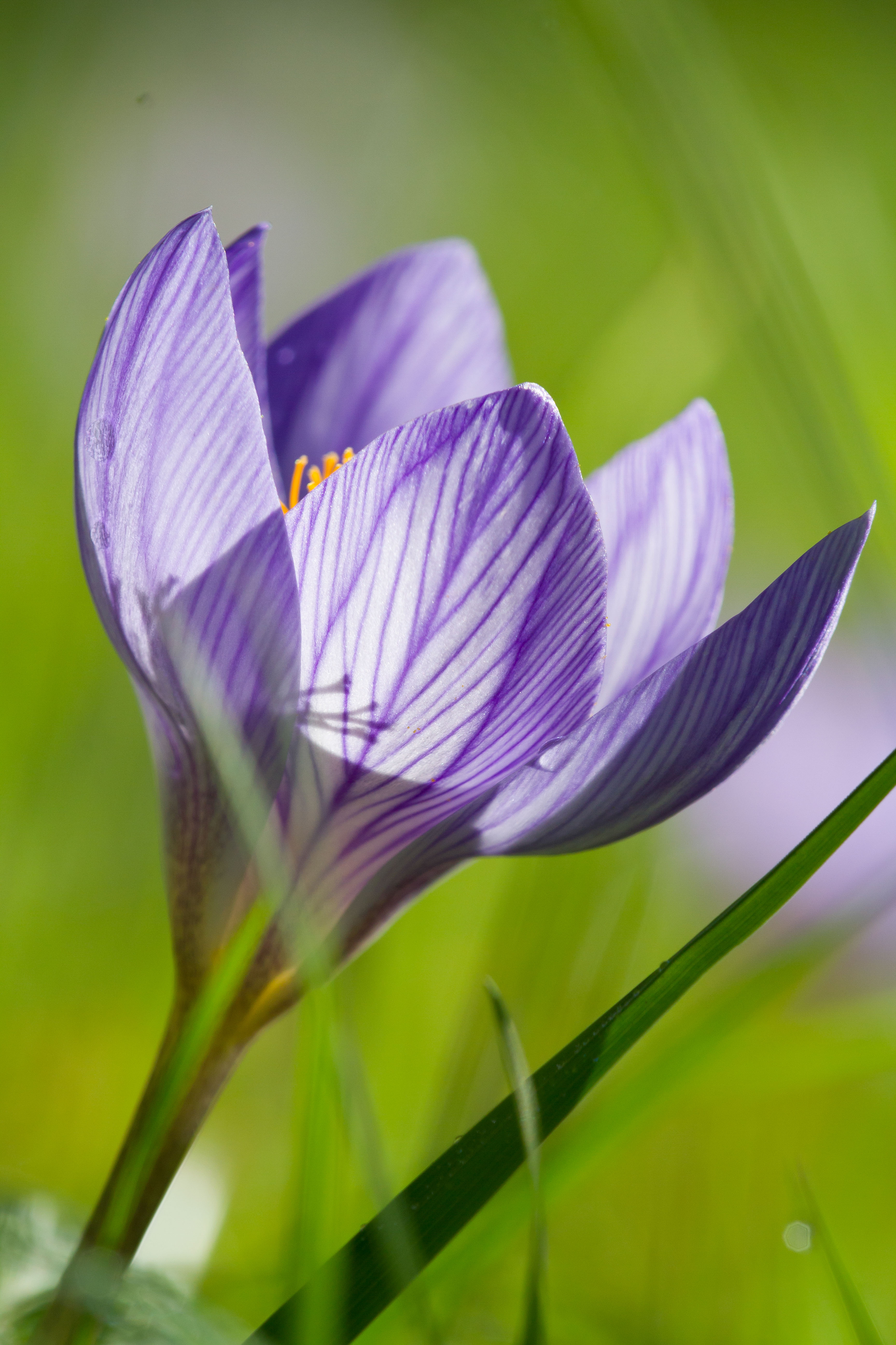 IMG_7921_IGPOTY.jpg