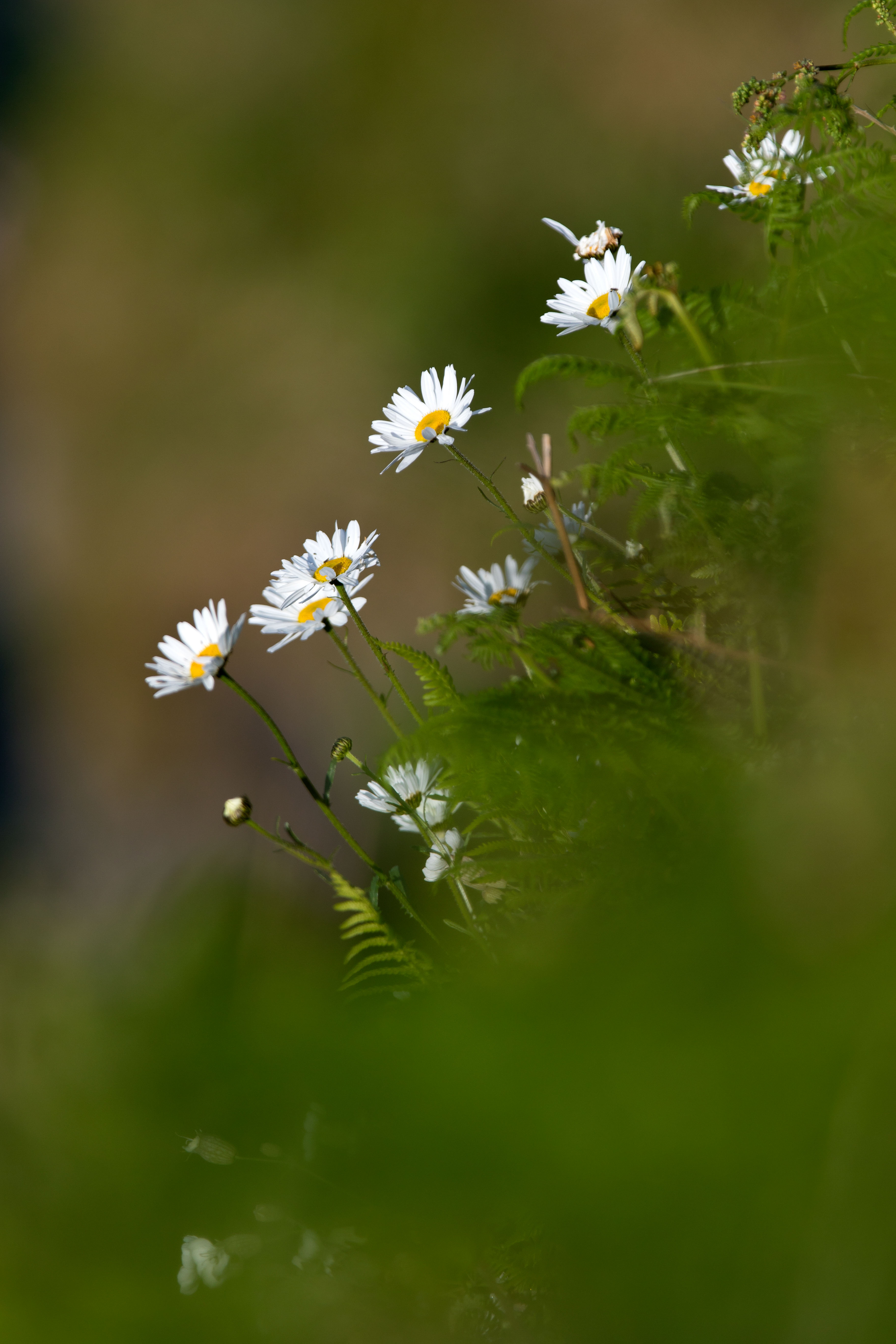 _Y1A2668m1.jpg