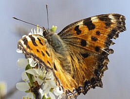 I once was lost but now am found